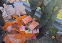 LLEVABA CASI 55 KILOS DE COCAÍNA ESCONDIDOS EN PELUCHES DE CARPINCHO Y FUE DETENIDA